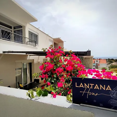 Lantana Hvar Hvar Town